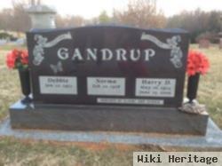 Harry D. Gandrup