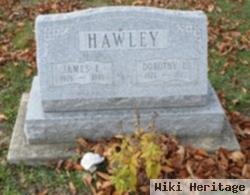 Dorothy L. Hawley