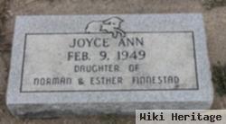 Joyce Ann Finnestad