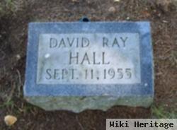 David Ray Hall