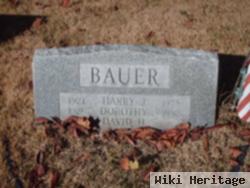 Harry J Bauer