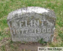 Florence M Westervelt Flint