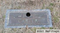 Helen W Carter