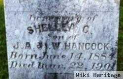 Shellea C. Hancock