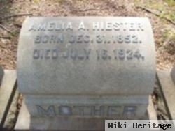 Amelia Ahrens Reber Hiester