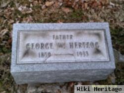 George Washington Hertzog