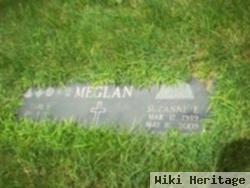 Suzanne Eakins Meglan