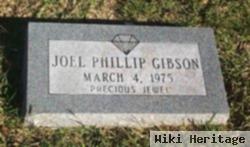 Joel Phillip Gibson