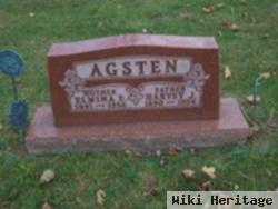 Harvey J Agsten