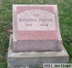 Bogomil Pintar