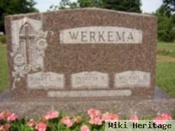 Michael D Werkema