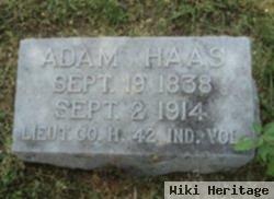 Adam Haas