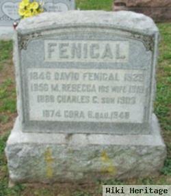 David Fenical