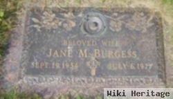 Jane M Burgess