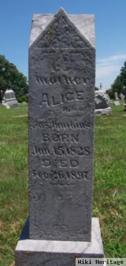 Alice Hawkins