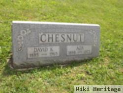 David K Chestnut