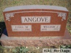 William John Angove