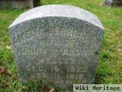 Amelia Hannah Beardsley Welles