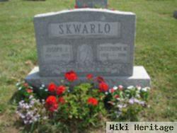 Joseph J Skwarlo