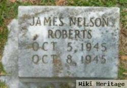 James Nelson Roberts