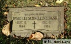 David Lee Schnellenberger