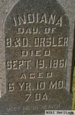 Indiana Orsler