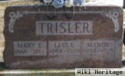 Mary Elizabeth Warinner Trisler