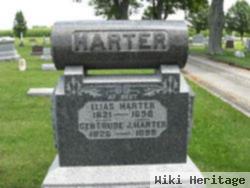 Elias Harter