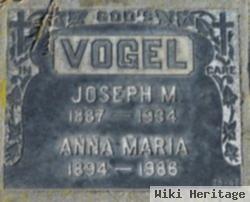 Joseph M Vogel