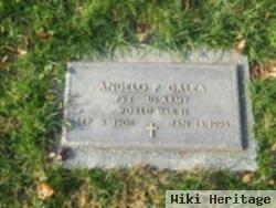 Angelo P Galea