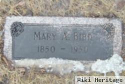 Mary A. Bird