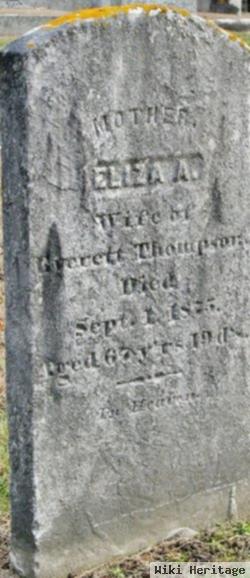 Eliza Ann Chilson Thompson