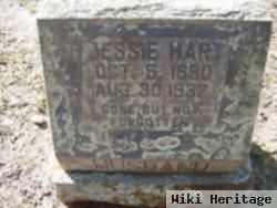 Jessie Hart