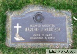 Marlene J Harrison