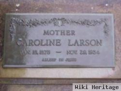 Caroline K Larson