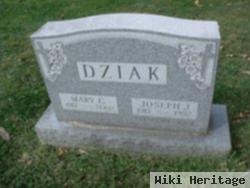 Joseph J Dziak