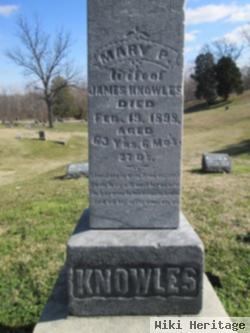 Mary P. Knowles