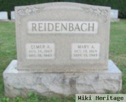 Mary Anna Albright Reidenbach