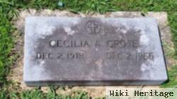 Cecelia Anna Grote Grote