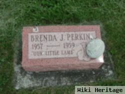 Brenda J Perkins