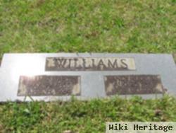 William Martin Williams