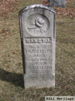 Nancy J Barger