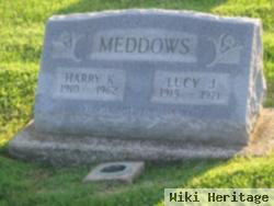 Harry K Meddows