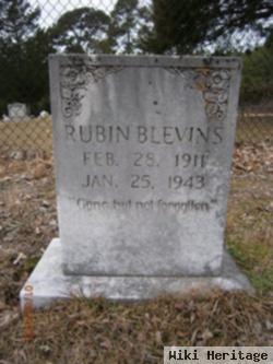 Rubin Blevins