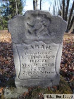 Sarah Brubaker