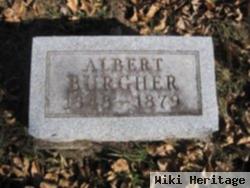 Albert Manson Burgher