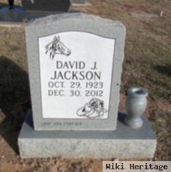 David J Jackson