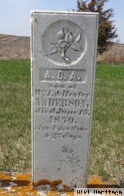 A. D. A. Anderson