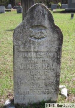 James W. Hogue