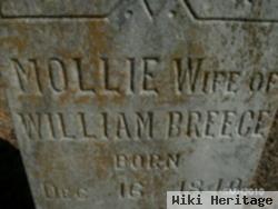 Mary Prudence Elizabeth "mollie" Sansing Breece